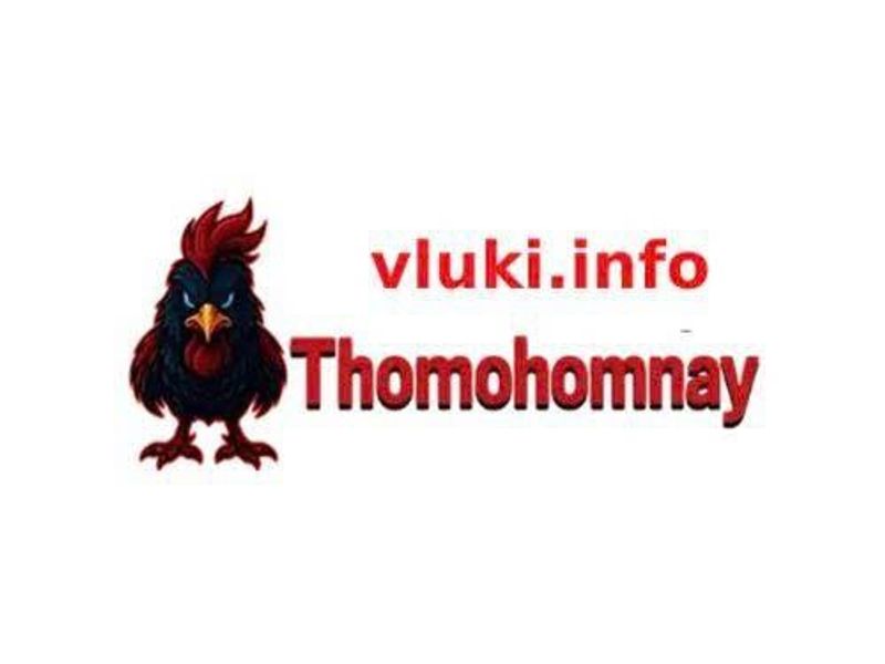 thomohomnayvluki
