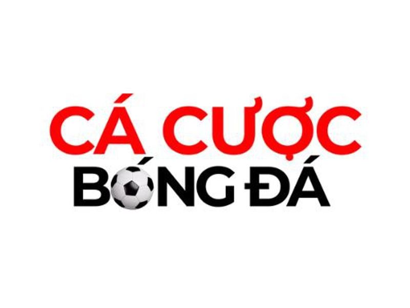 cacuocbongdaitcom1