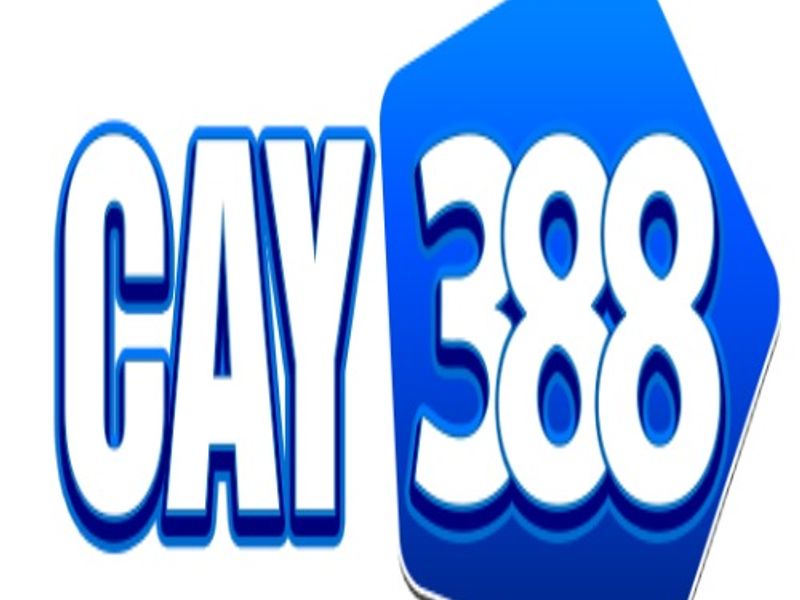Cay388cam
