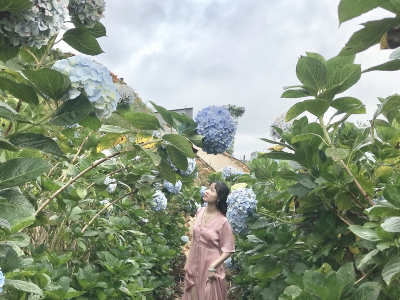 nganthanh