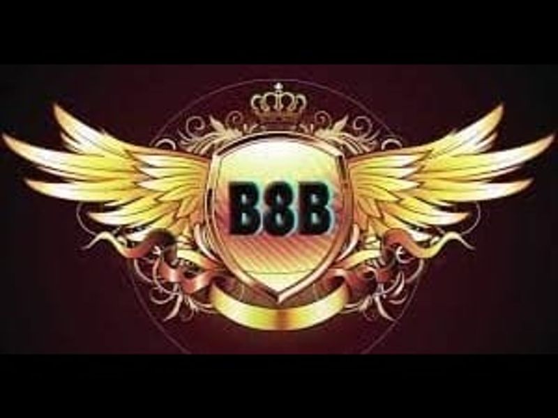 b8b1org