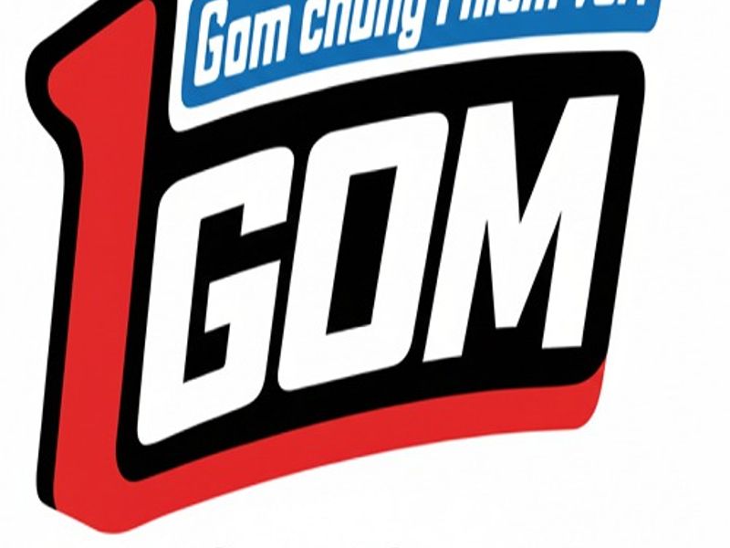 1gom1site