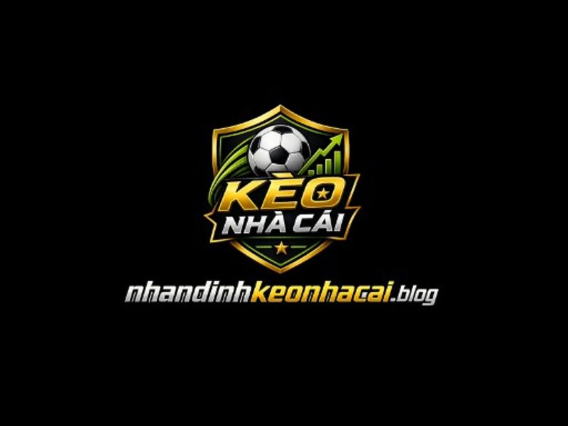 nhandinhkeonhacaiblog