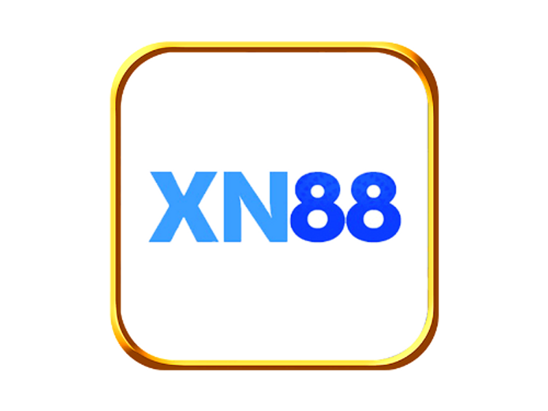 xn881net