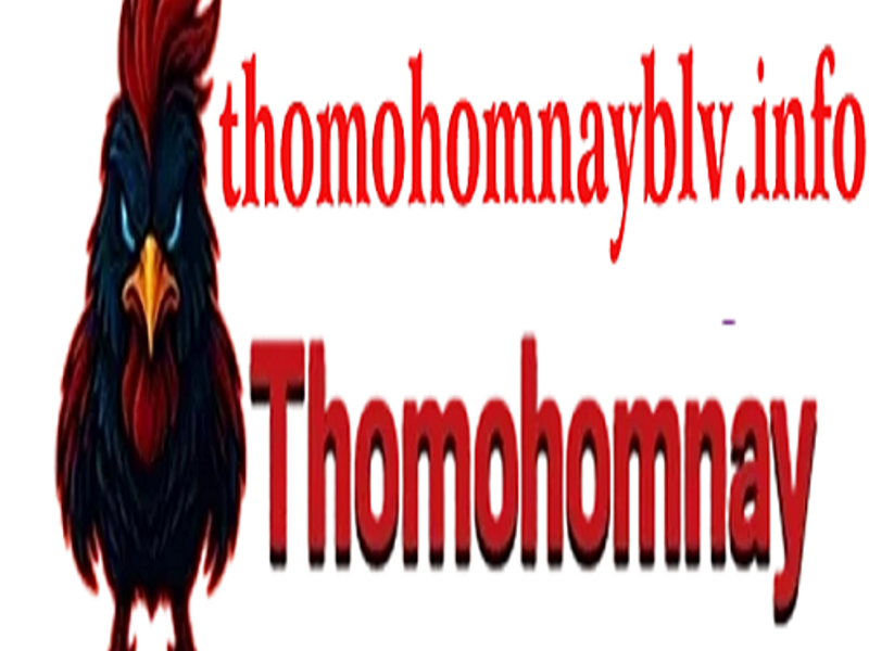 thomohomnayblvinfo