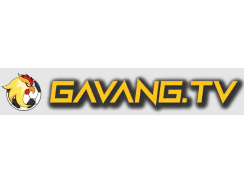 gavangtvwork1