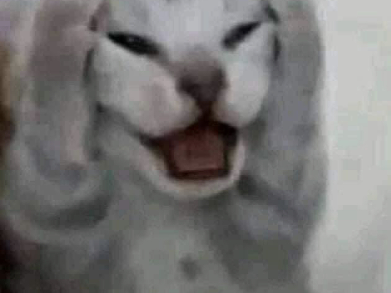 switkaet