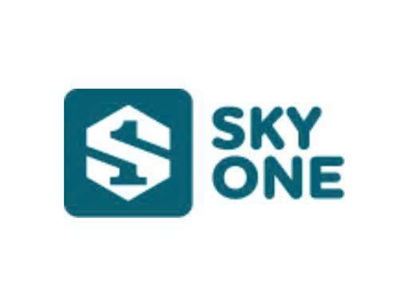 skyonegamenet