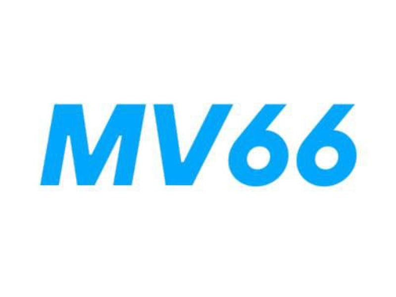 mv66art