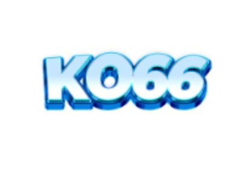 ko66coin1
