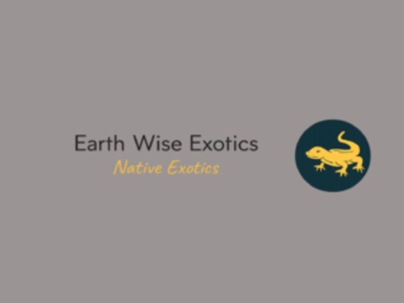 earthwiseexotics