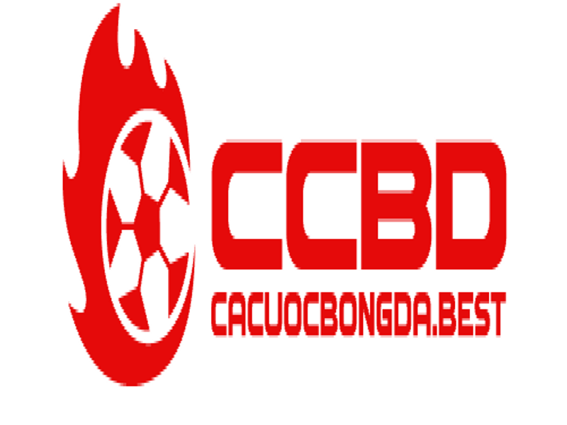 cacuocbongdabest