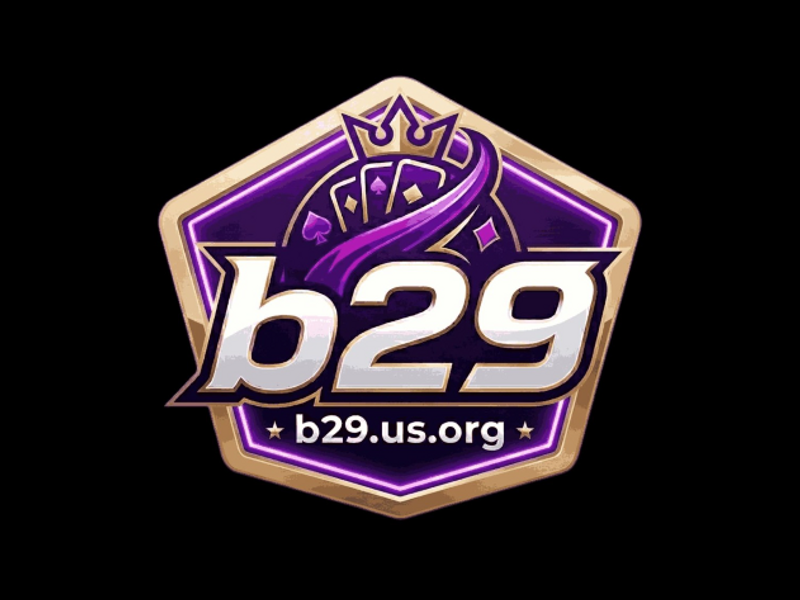 B29usorg
