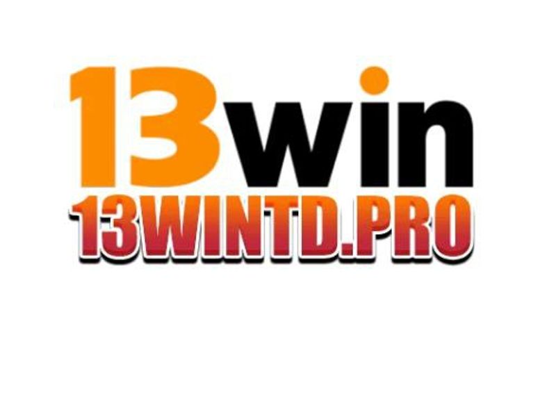 13wintdpro
