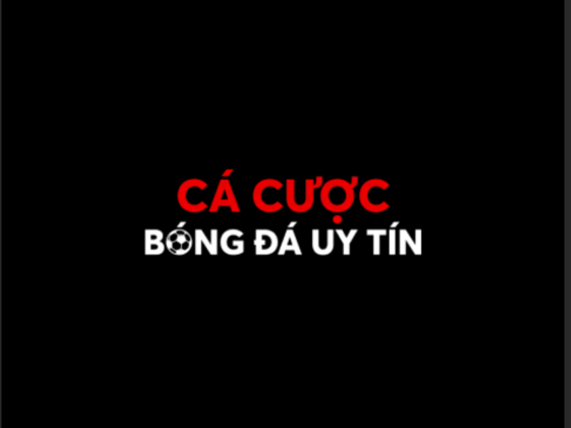 cacuocbongdacelsahorslesmurs