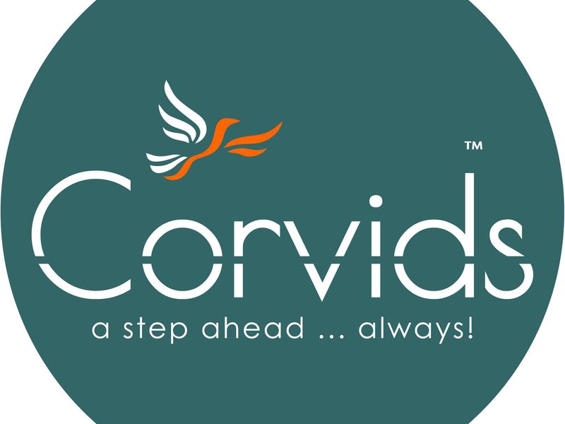 CorvidsIndia