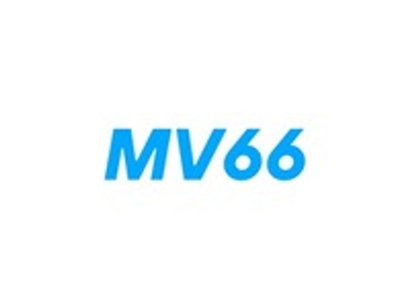 mv66ltd