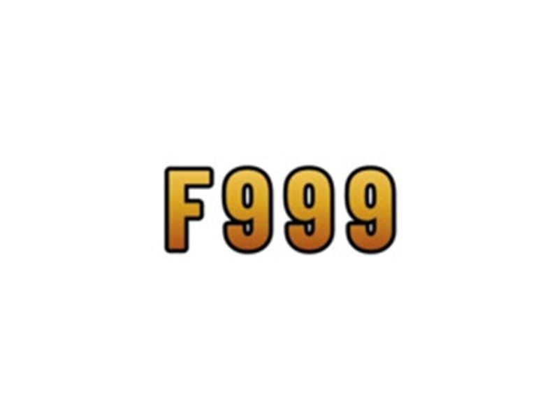 f999sbdcom