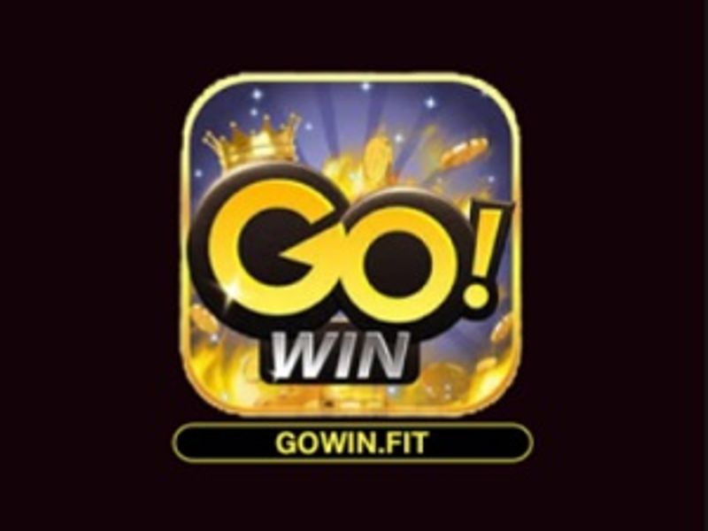 gowinfit1