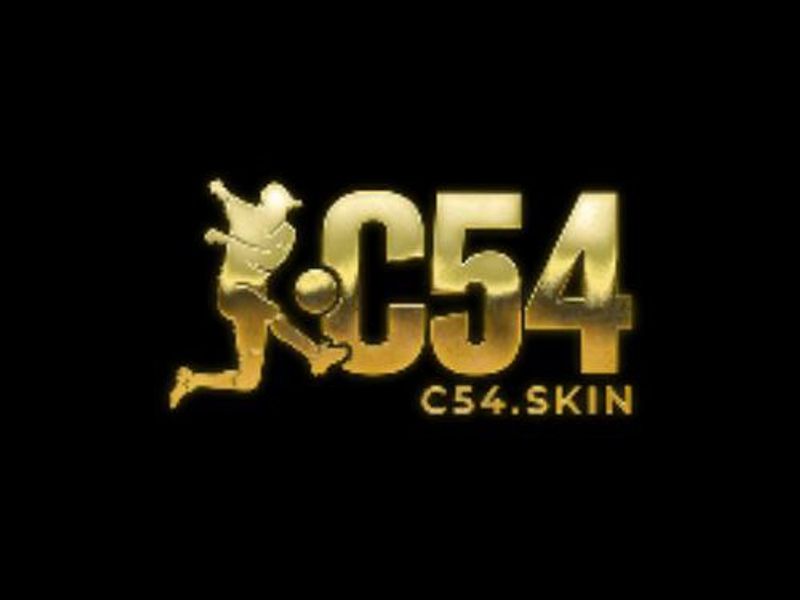 c54skin1