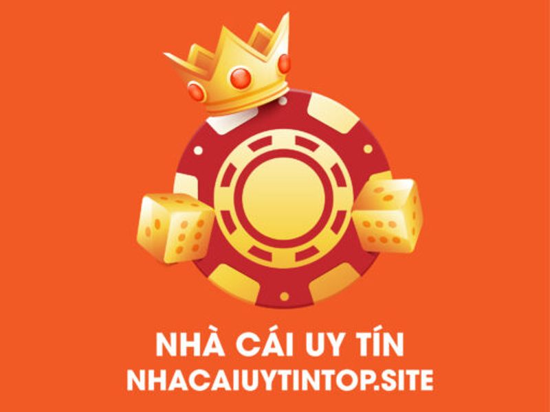 nhacaiuytinsnubthehub