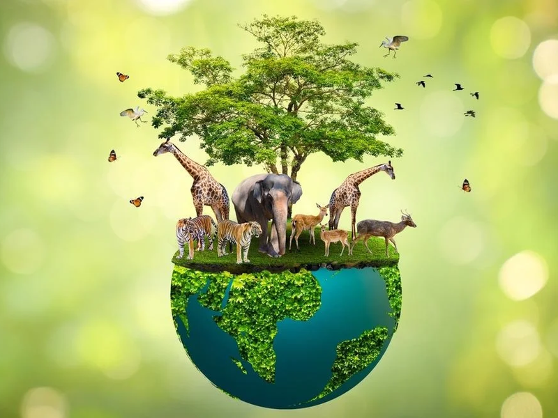 biodiversity
