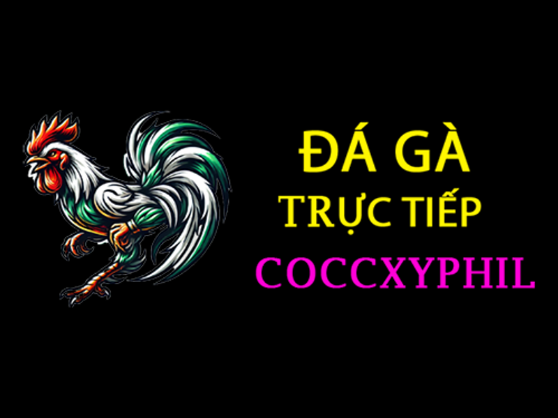 dagacuadaococcxy