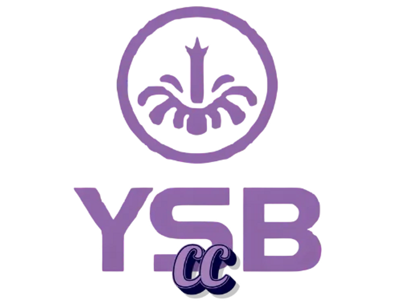 ysb66cc1