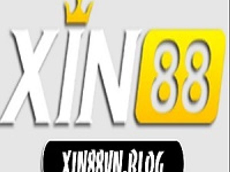 xin88vnblog