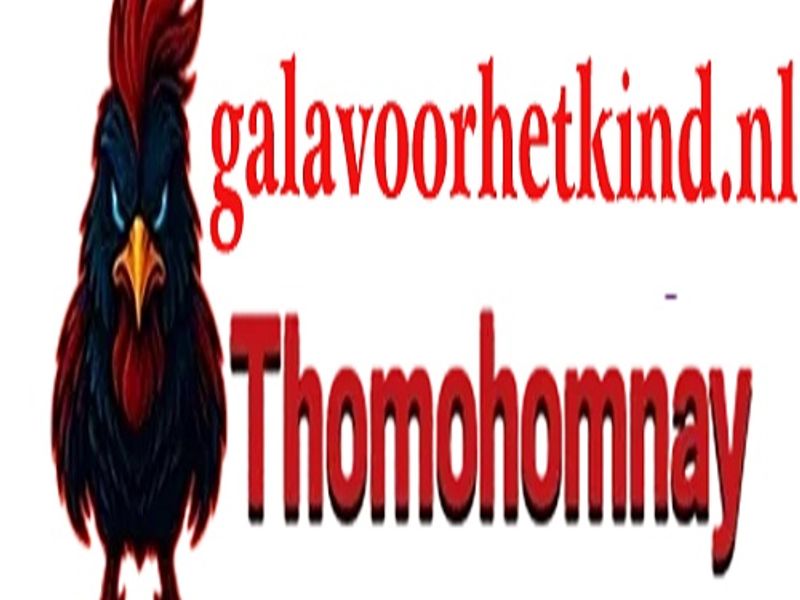 thomohomnaygalavoor