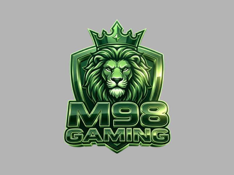 m98vninnet