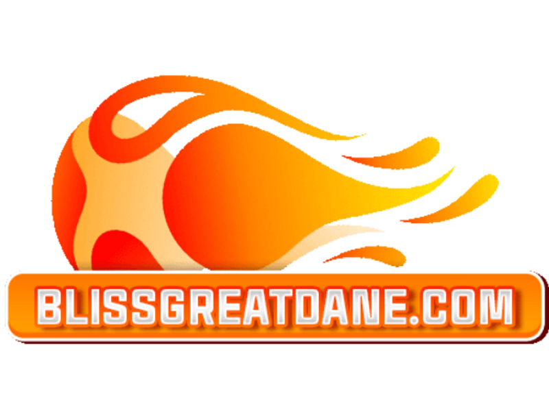 westyorkjewellerscom