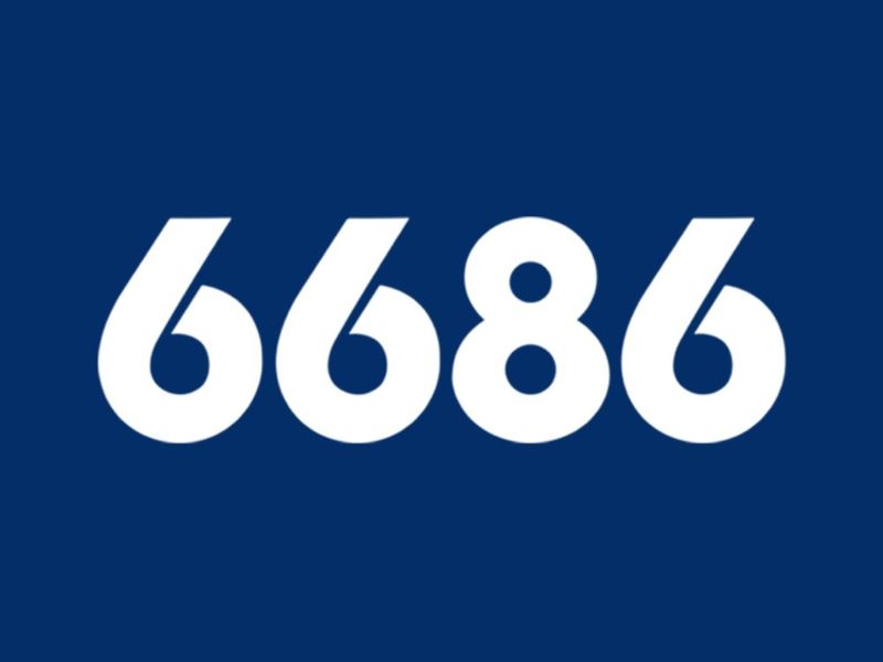6686company