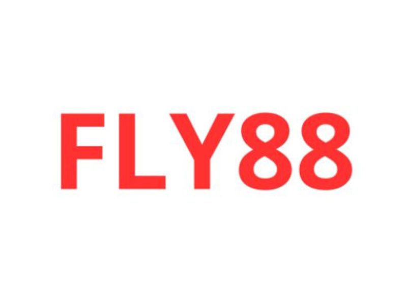 fly888jpnet