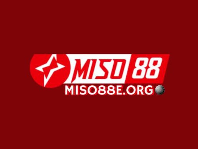 miso88eorg