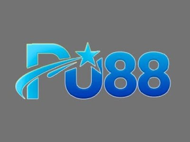 pu888itcom