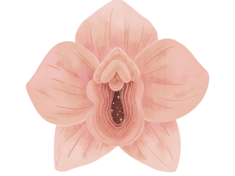 lincolncathedralchoircouk