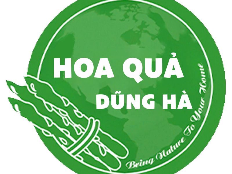 hoaquadungha
