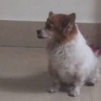 Csdhukcskuhdkuhscvkhusdkub