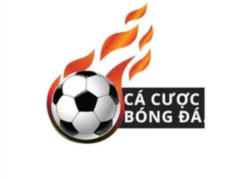 trangcacuocbongdadiy