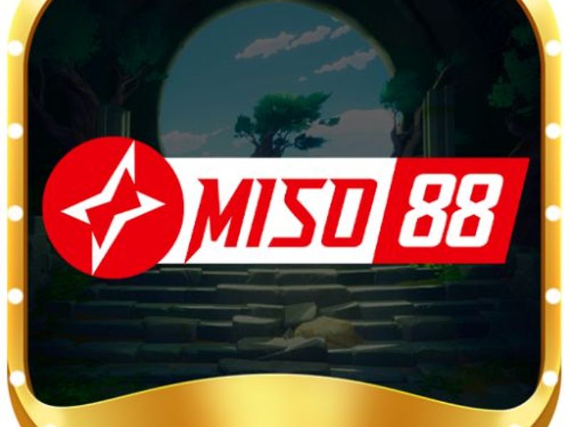 miso88art1