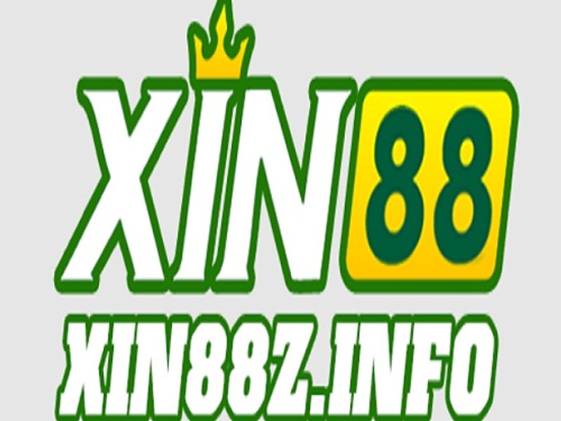 xin88zinfo