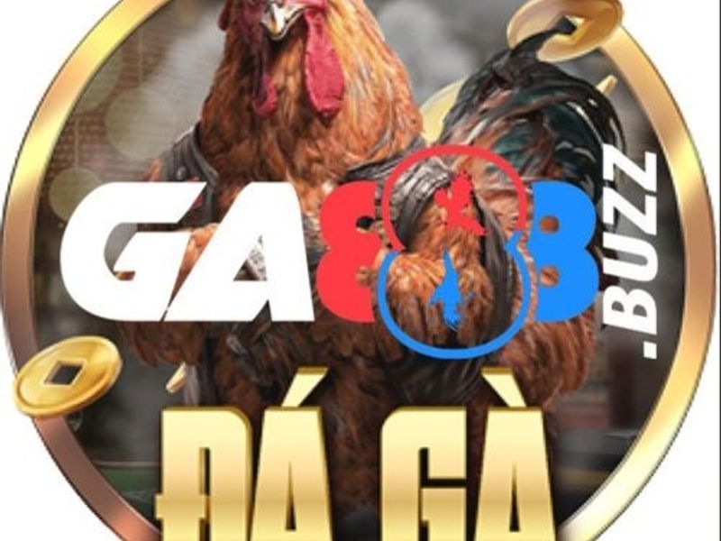 ga888buzz
