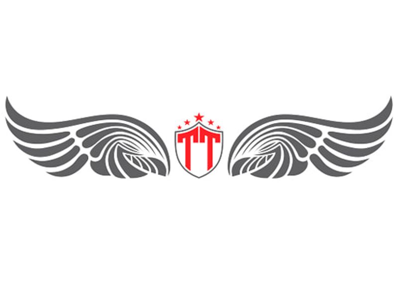 thuexe16chodulichtritai