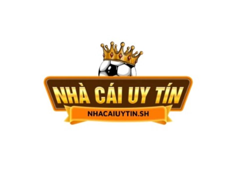 Nhacaiuytinshvn