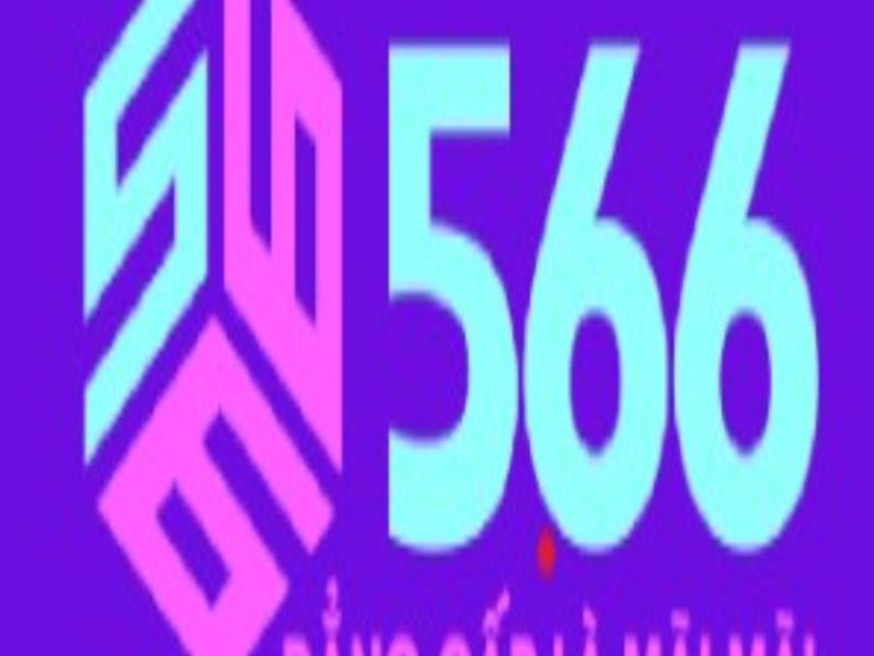 566nyycom