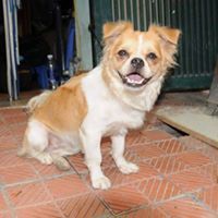 marieo199715