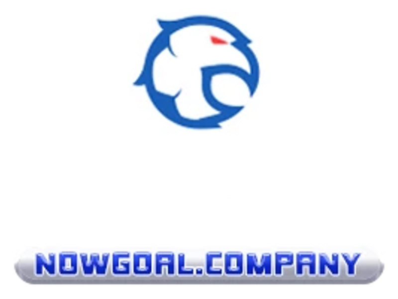 nowgoalcompany