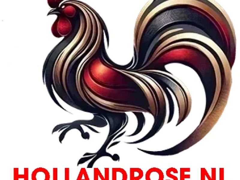 dagathomoholland