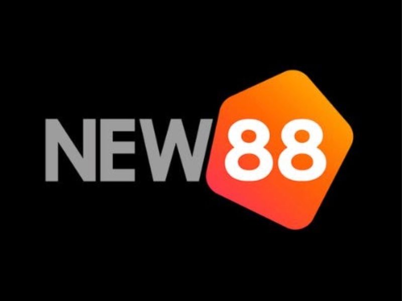 new88cam1